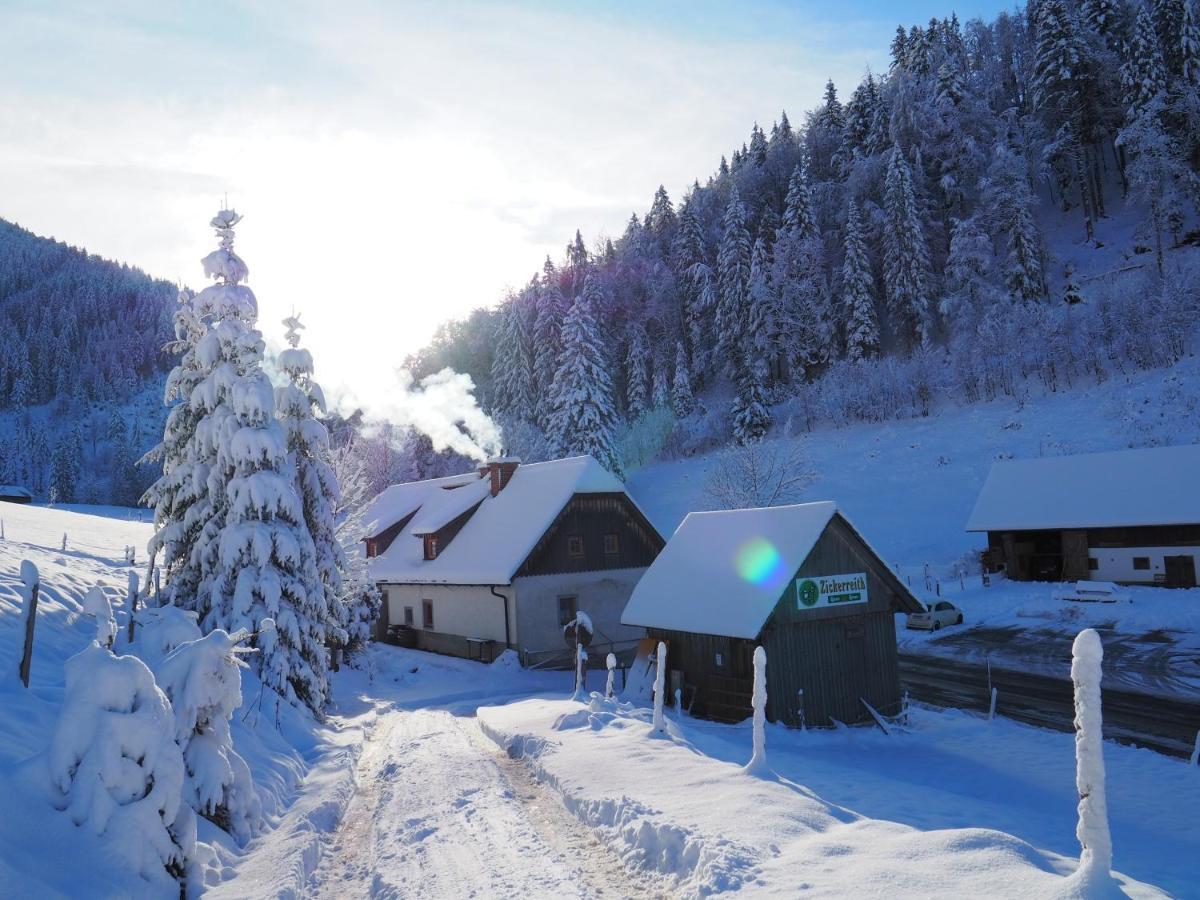 Zickerreith Almhutte Hostel Rosenau am Hengstpass Εξωτερικό φωτογραφία