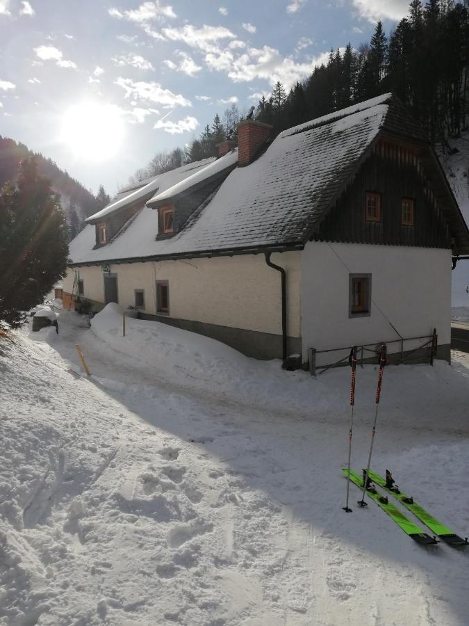 Zickerreith Almhutte Hostel Rosenau am Hengstpass Εξωτερικό φωτογραφία